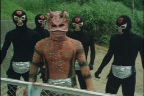 PDVD_001.jpg
