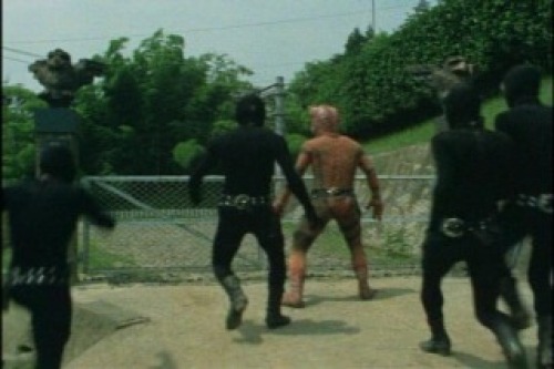 PDVD_006.jpg