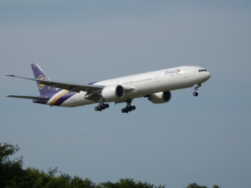 P6240194 (400x300).jpg