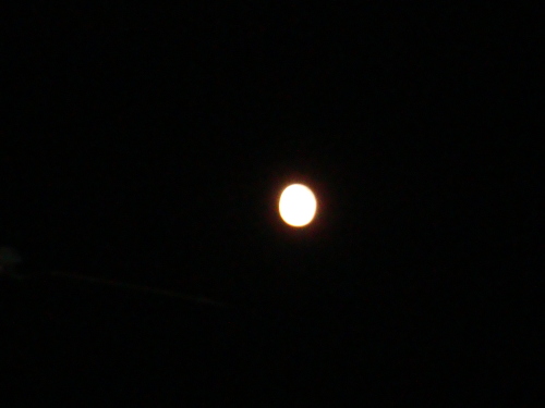 20130921-7.JPG