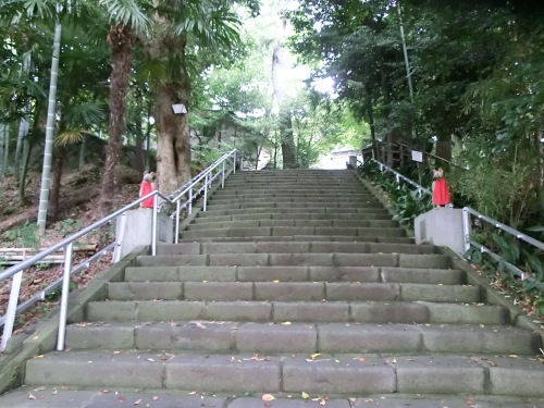 CIMG8430.JPG