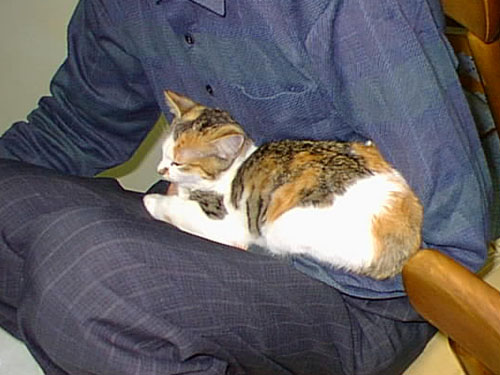 14.jpg