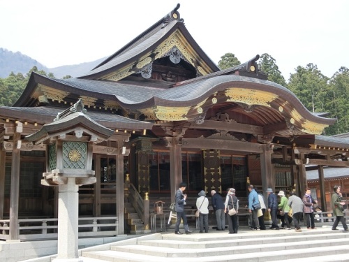 弥彦神社本殿.jpg