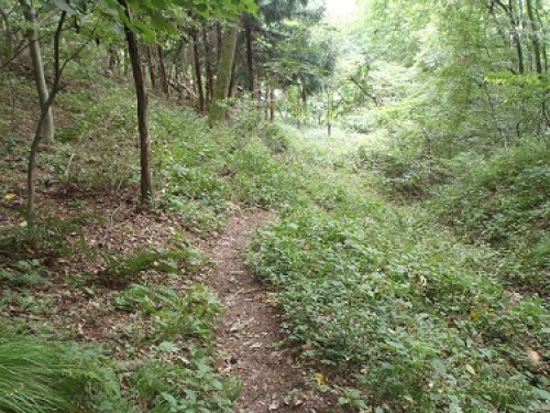 P9150079.JPG