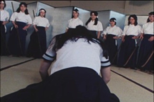 PDVD_030.jpg