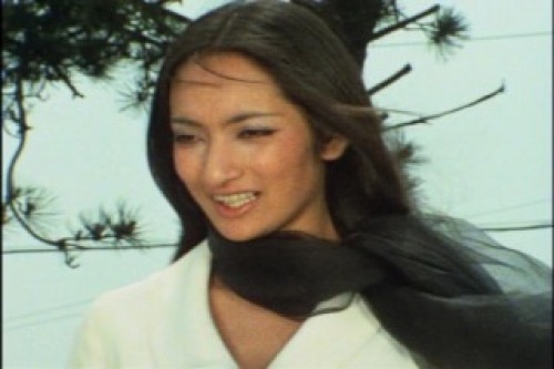 PDVD_020.jpg