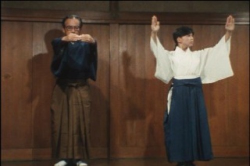 PDVD_031.jpg