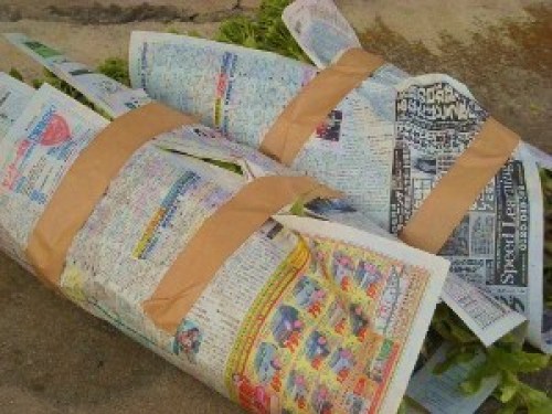 DSCN7797 (300x225).jpg