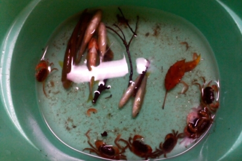 2016-08-21 18-14-52.jpg