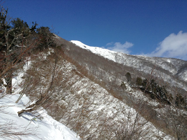 Shiragamon20160105.JPG