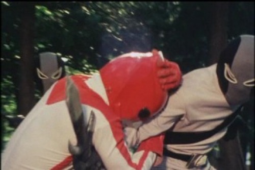 PDVD_025.jpg