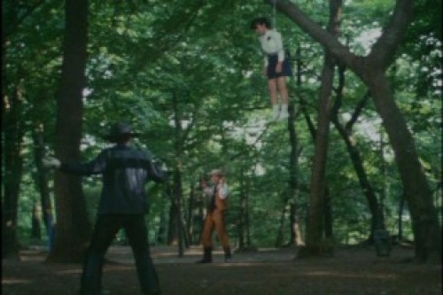 PDVD_010.jpg