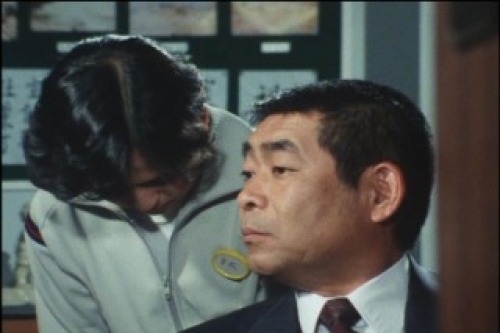 PDVD_027.jpg