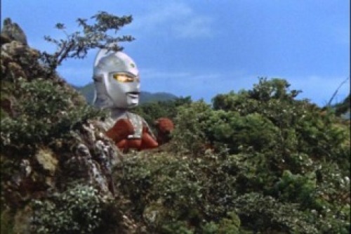PDVD_023.jpg