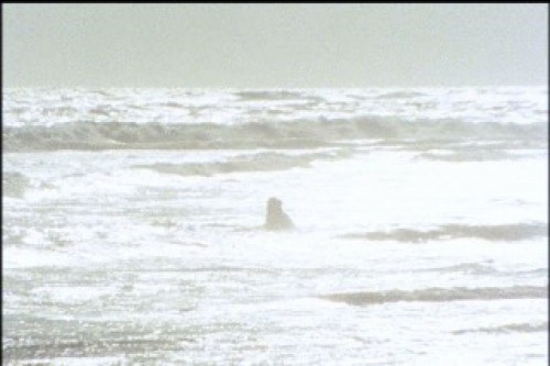 PDVD_016.jpg