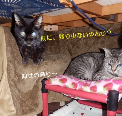 20150220_4.jpg