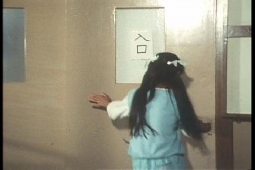 PDVD_008.jpg