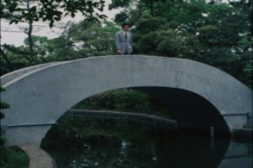 PDVD_020.jpg
