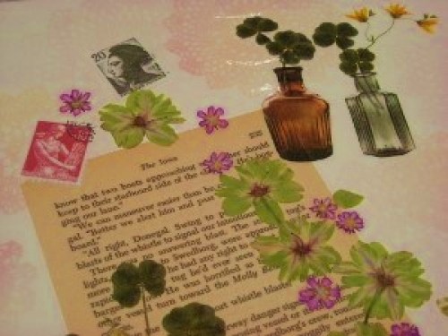 DSCN5831 (300x225).jpg