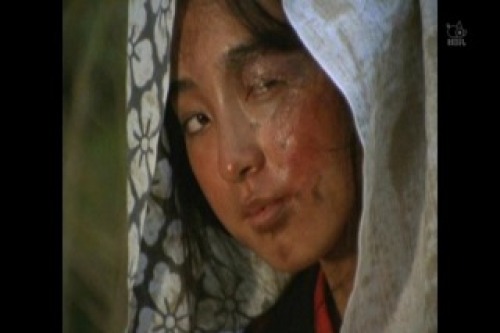PDVD_005.jpg