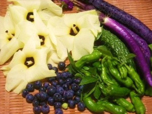 DSCN0783 (300x225).jpg