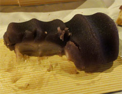 伊勢神宮31.jpg