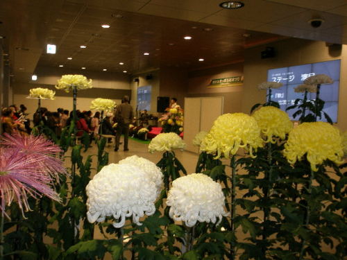 PB020013.JPG