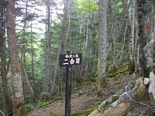 仙丈ケ岳大滝頭登山道 (1) (500x375).jpg