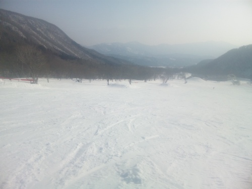 SH3H0067.JPG