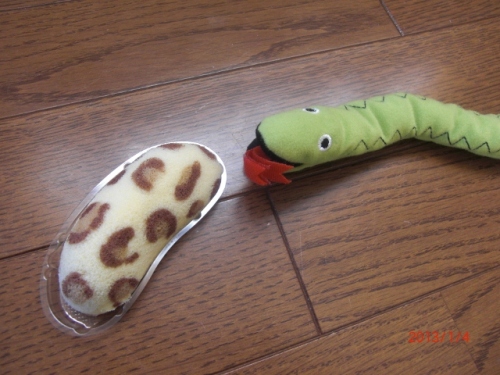 CIMG6604 (640x480).jpg