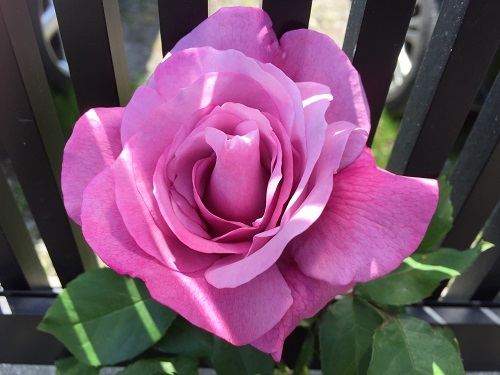 2016-04-20 11.47.05 - コピー.jpg