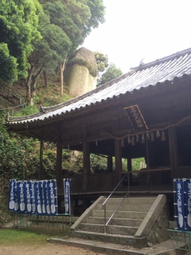 IMG_0127 (480x640).jpg