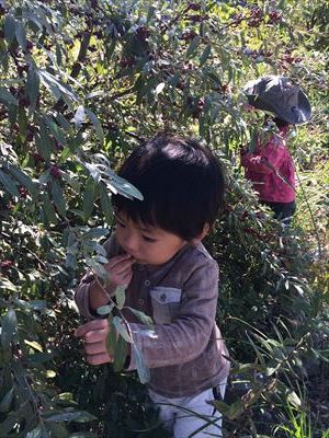 IMG_4223_R.JPG