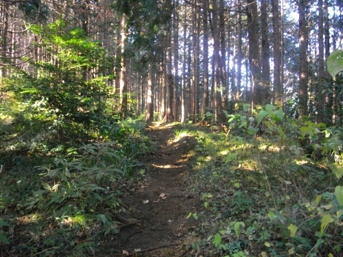 箱根外輪山 (12) (500x375).jpg