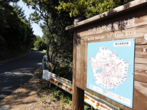 yakushima0048.JPG