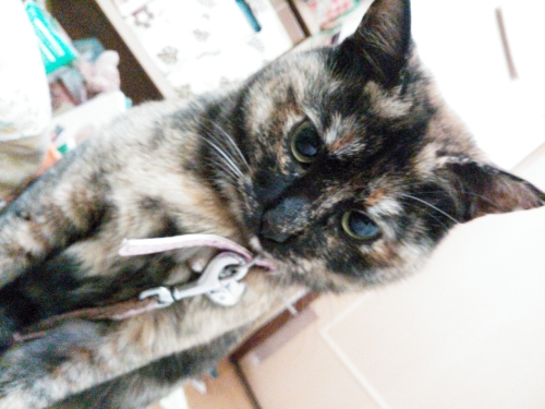 2014-01-14-17-20-32_deco.jpg