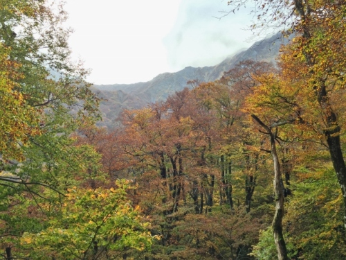 IMG_6707 (640x480).jpg