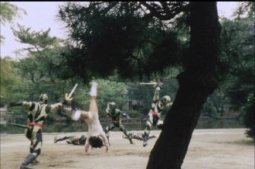 PDVD_024.jpg