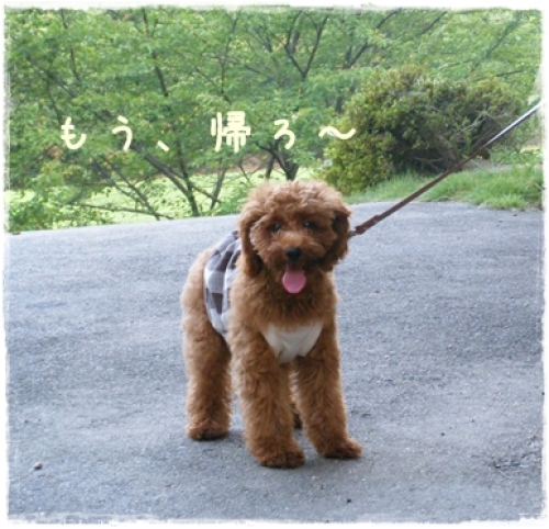DSCF4109.JPG
