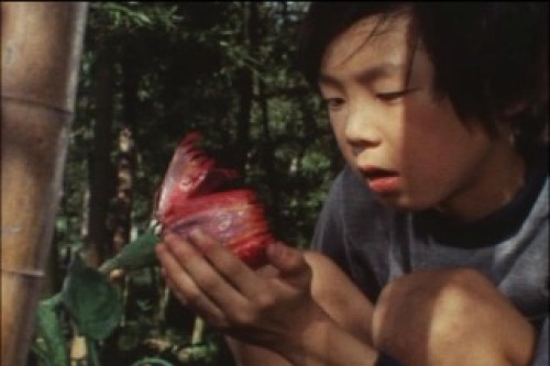 PDVD_050.jpg