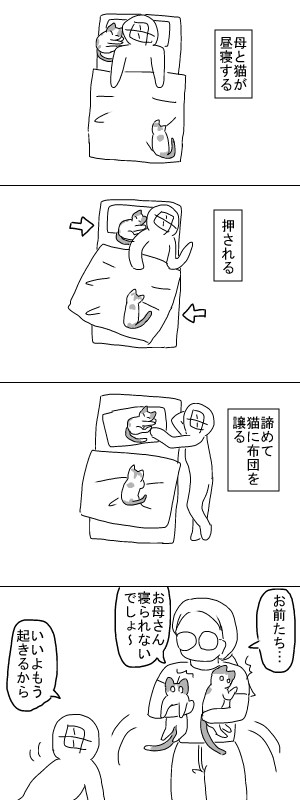 猫と昼寝