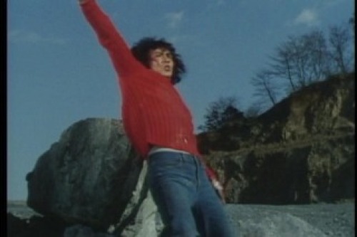 PDVD_011.jpg