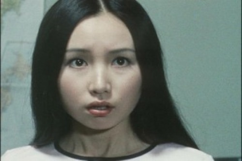 PDVD_011.jpg