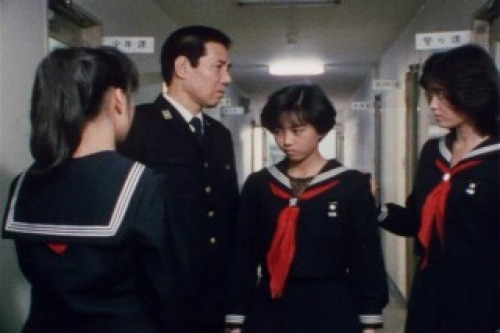 PDVD_010.jpg