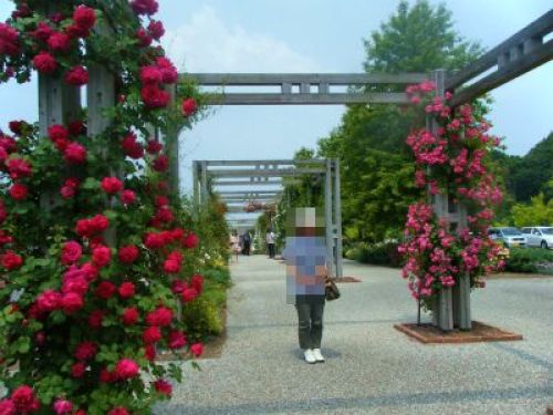DSCF8297.jpg
