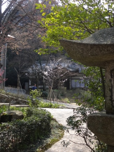 竈門神社春 ブログ用 (5).JPG