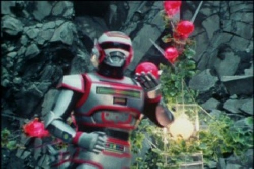 PDVD_012.jpg