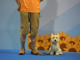 DSCN4364.jpg