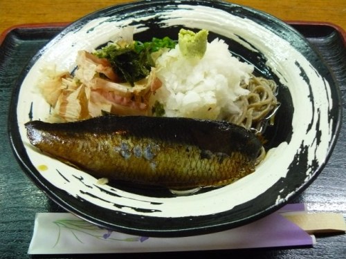 P1760475 (640x480)140701昼食おろし鰊蕎麦.jpg