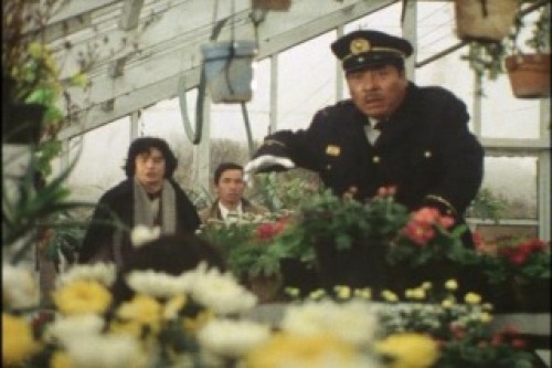 PDVD_046.jpg